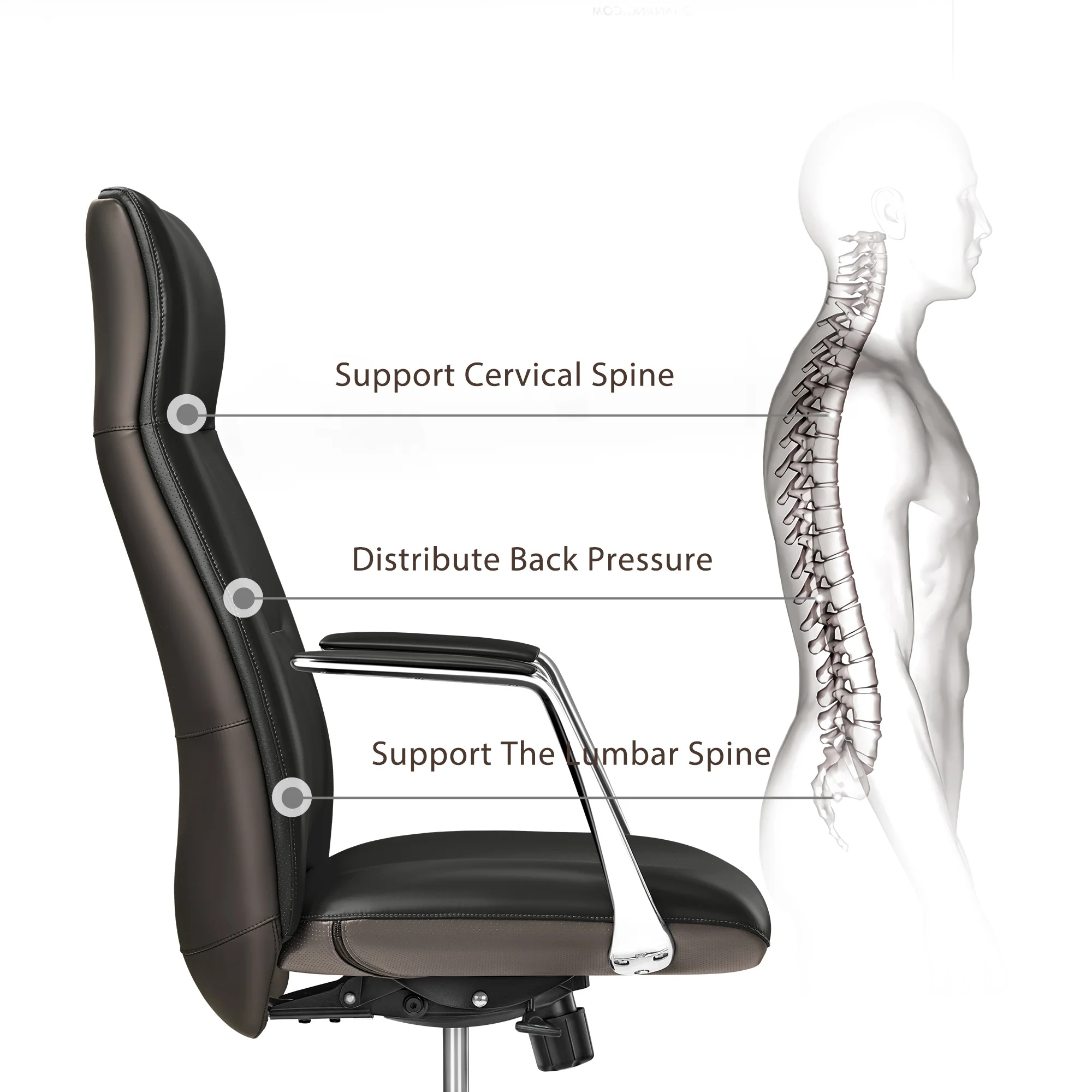Royal Slim, Executive Office Chair - Image 33